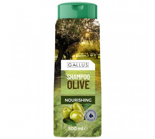 Шампунь для волос Gallus Olive 500 мл
