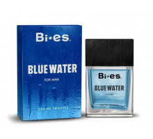 Туалетна вода чоловіча Bi-Es BLUE WATER 100 ml