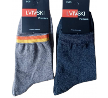 Носки Lvivski Premium размер 23-25 длинные