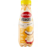 Сік Fortuna Breakfast  Ananas Banan Jablko 300 мл