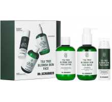 Подарунковий набір жіночий Mr.Scrubber Tea Tree Blemish Skin Face
