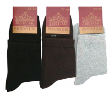 Шкарпетки чоловічі Lvivski Premium довгі розмір 27-29