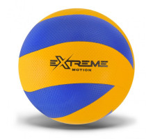 М'яч волейбольний VB24013