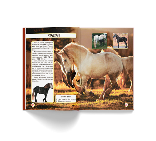 Фотоенциклопедія А4 Світ навколо нас Коні
