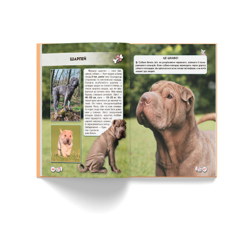 Фотоенциклопедія А4 Світ навколо нас Собаки