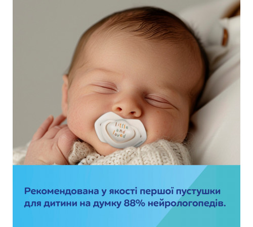 Силиконовая симметричная пустышка Canpol babies 22/667 Гуси 0-6 м 2 шт