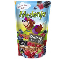 Сік дитячий Medonja Forest Fruits 200 мл