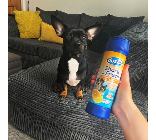 Освіжувач для килимів з нейтралізацією запаху Duzzit Shake & Fresh Pet Fresh 500 г