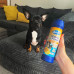 Освіжувач для килимів з нейтралізацією запаху Duzzit Shake & Fresh Pet Fresh 500 г