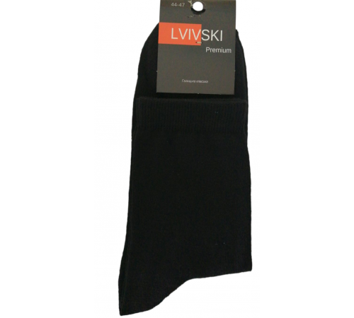 Носки мужские Lvivski Premium длинные размер 44-47