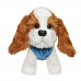 Мягкая игрушка Tigres СO-0129 Собачка кокер-спаниэль Джесси в сумке