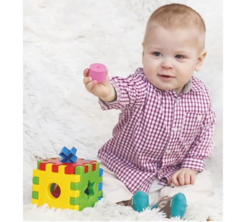 Развивающая игрушка Tigres 39376 Волшебный куб 12 элементов