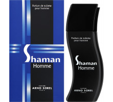 Туалетная вода мужская Arno Sorel Shaman 100 мл