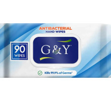 Салфетки влажные дезинфицирующие G & Y Antibacterial с клапаном 90 шт