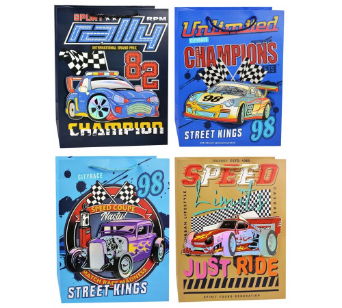 Пакет подарунковий 766M