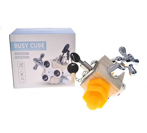 Бізікуб 10558 в коробці