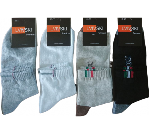 Шкарпетки чоловічі Lvivski Premium середні сітка розмір 25-27