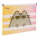 Папка-конверт на молнии В5 YES 492031 Pusheen