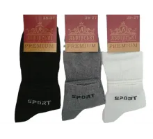 Носки мужские Lvivski Premium короткие размер 25-27